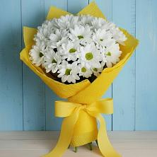 Букет цветов из:  Хризантемы в Урюпинске
