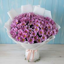 Букет цветов из:  Хризантемы в Урюпинске