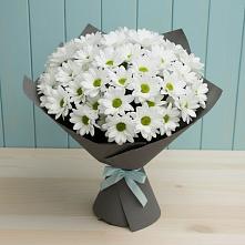 Букет цветов из:  Хризантемы в Урюпинске