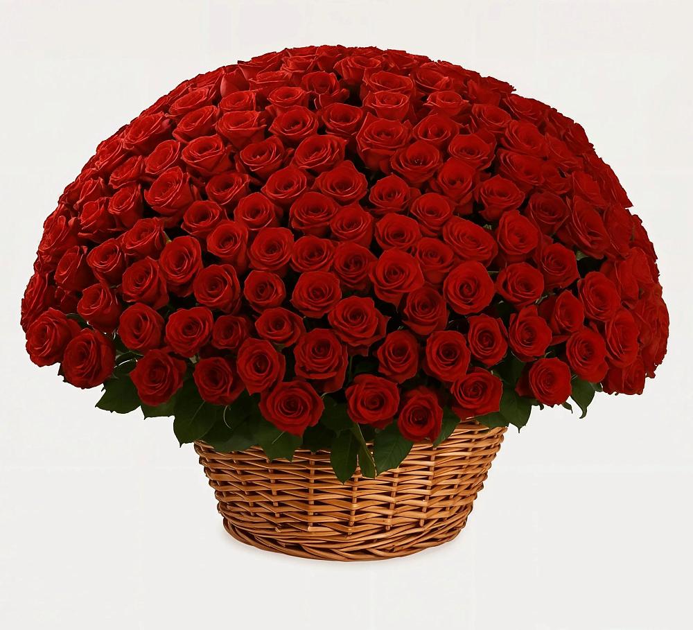 Премиум букет из: Розы в Урюпинске