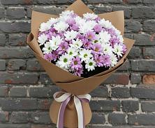 Букет цветов из:  Хризантемы в Урюпинске