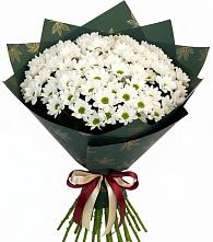 Букет цветов из:  Хризантемы в Урюпинске