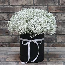 Цветочная композиция из Гипсофила в шляпной коробке в Урюпинске
