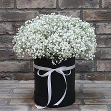 Цветочная композиция из Гипсофила в шляпной коробке в Урюпинске