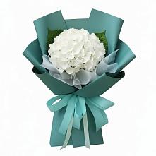 Букет цветов из:  Гортензия в Урюпинске